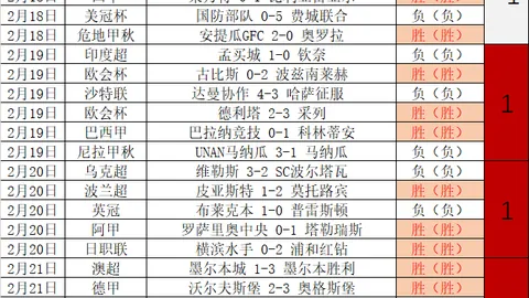 “海南棋子湾杯全国业余围棋双人公开赛圆满落幕”