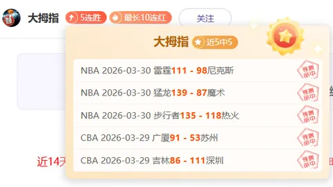 天津女排弃用藤井莉子，退赛失利暴露外援信任困境